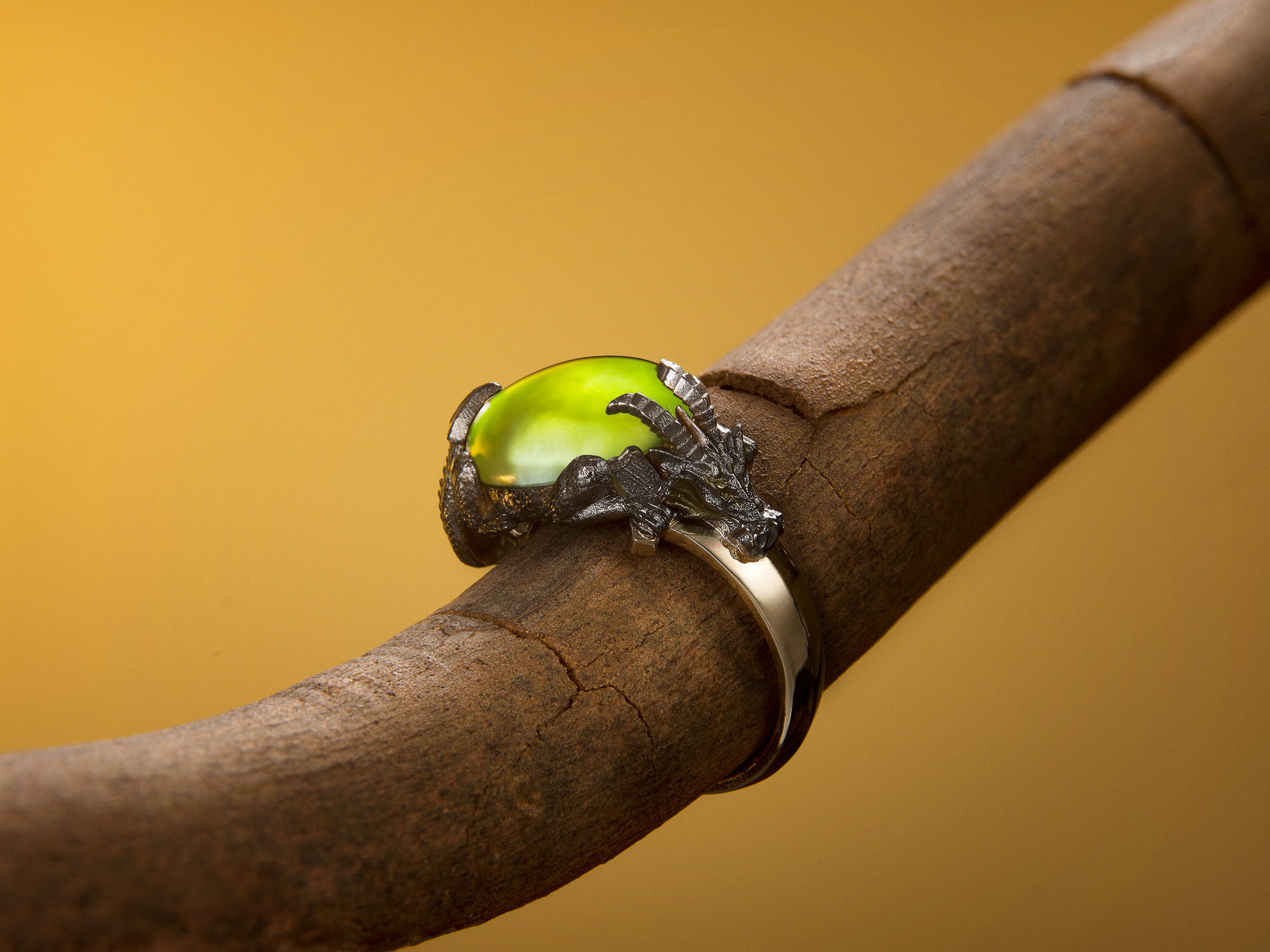 Wenbo Zhao-professional jewellery photography-Object Maker-Creative Jewellery Photography and Dragon Ring with yellow background lights
